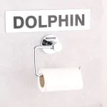 پایه رول دستمال کاغذی دلفین مدل Rdndo-G-C | کروم | گارانتی اصالت و سلامت فیزیکی کالا